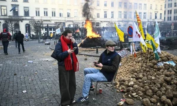 Protestat në Francë, fermerët hedhin patate e pleh dhe lënë një arkivol pranë rezidencës së Macron