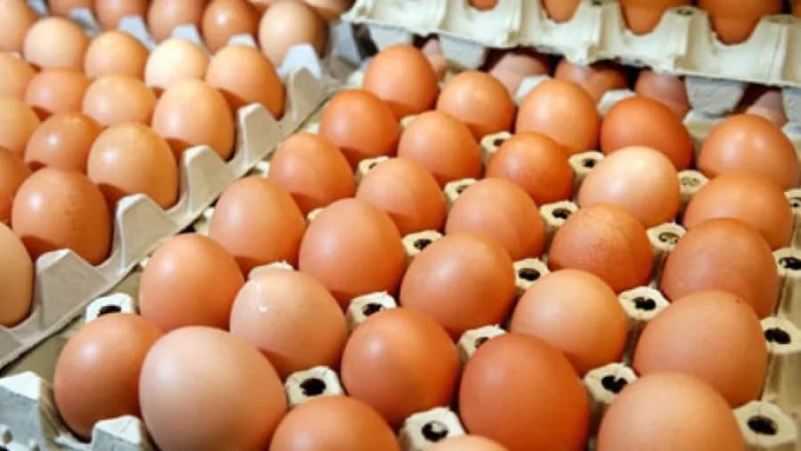 Këngëtarja Gresa Behluli ankohet për rritjen e çmimit të vezëve: As në Zvicër nuk po rriten çmimet si te ne