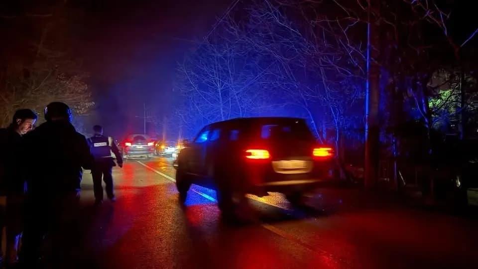 Policia e Kosovës arreston dy serbë për vjedhje në Mitrovicë të Veriut