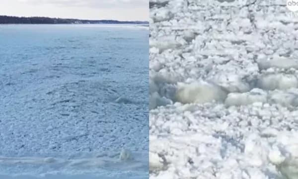 Temperatura ekstreme në SHBA, ngrihet liqeni i Michiganit
