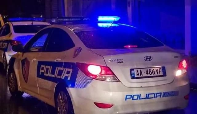 E rëndë në Belsh, 65-vjeçarja vdes pasi u sulmua nga qeni i fqinjit