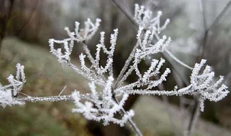Ulje e ndjeshme e temperaturave, priten edhe reshje bore