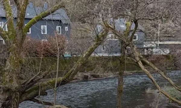Tragjedi në Gjermani, vdes 3 vjeçari disa ditë pasi ra në lumë – raportohet se është nga Peja