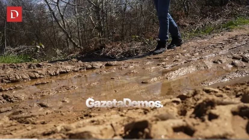 Ky është fshati që nuk kanë energji elektrike që nga viti 2018, banori: Rryma nuk është lluks, por nevojë