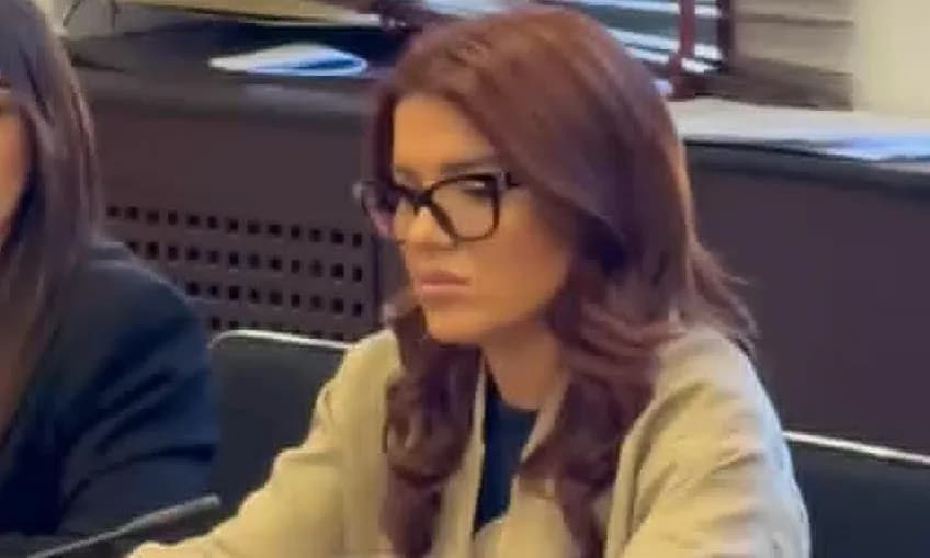 Ky është ‘look’ u i ri i Edona Llalloshit si deputete