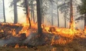 Rritet rreziku nga zjarret, Agjencia e Menaxhimit Emergjent apelon për kujdes maksimal gjatë verës