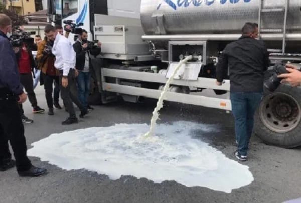 Fermerët hedhin qumështin në lum pas uljes së çmimit