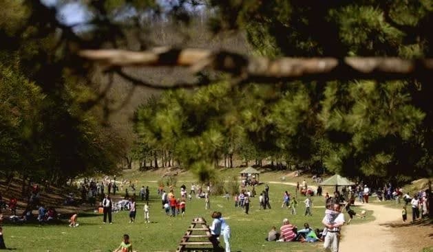 Ndalohet qarkullimi i automjeteve në drejtim të Parkut të Gërmisë