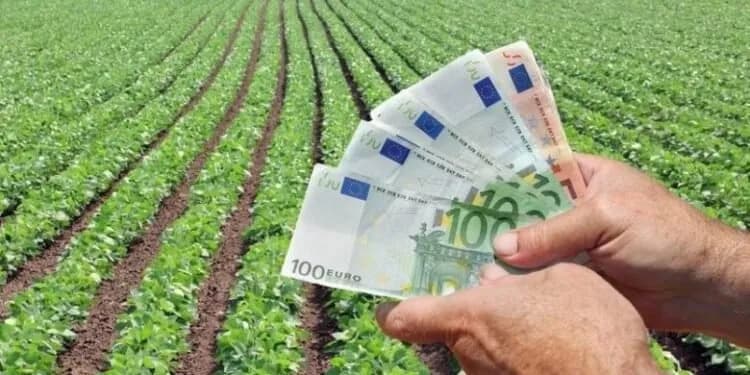 Hapet thirrja për aplikim për pagesat direkte në bujqësi