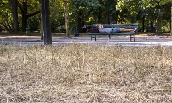 Rekorde temperaturash në Evropë, vala ekstreme e të nxehtit po zhvendoset drejt lindjes