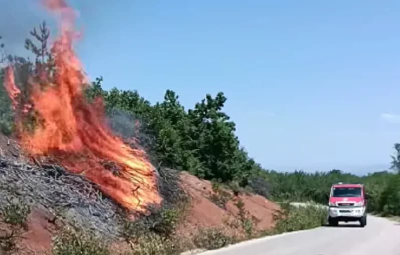Zjarr tek varrezat dhe gështenjat në Deçan, intervenojnë zjarrfikësit