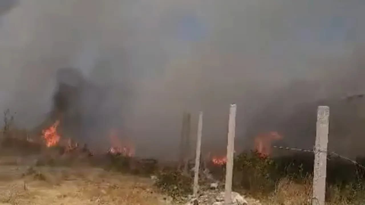 Zjarri përfshin periferinë e Vlorës, flakët rrezikojnë banesat