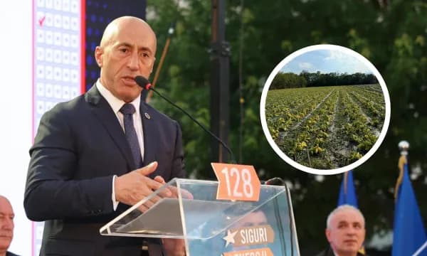 Haradinaj: Ftoj Qeverinë në detyrë që në bashkëpunim me komunat, të dalë në terren, të evidentojë dëmet e shkaktuara
