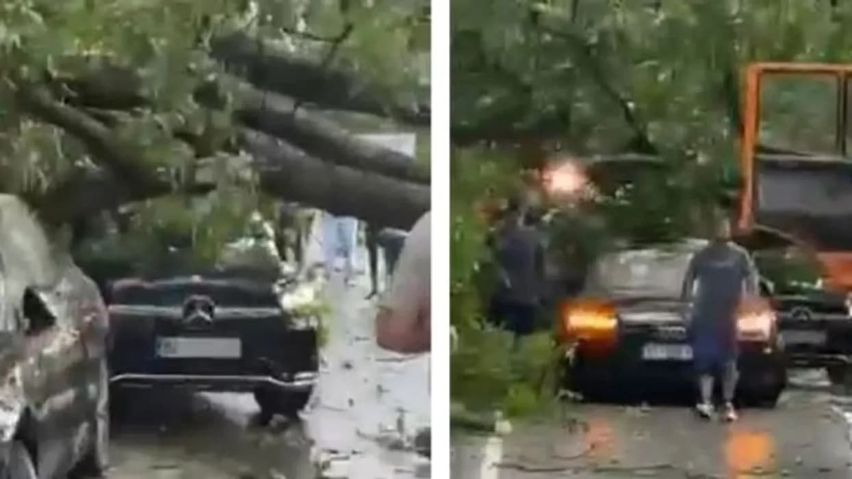 Lisi rrëzohet mbi dy vetura në Brezovicë, shkaktohen dëme materiale nga moti i lig