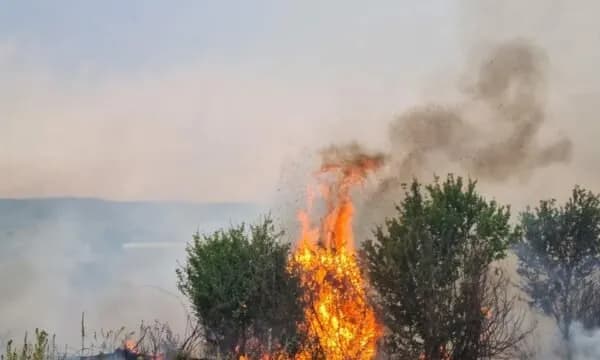 Maqedoni e Veriut: Gjatë 24 orëve të fundit janë regjistruar 17 zjarre në ambiente të hapura