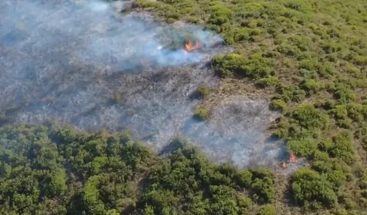Zjarr në kufirin mes Fierit dhe Mallakastrës, zjarrfikësit në terren