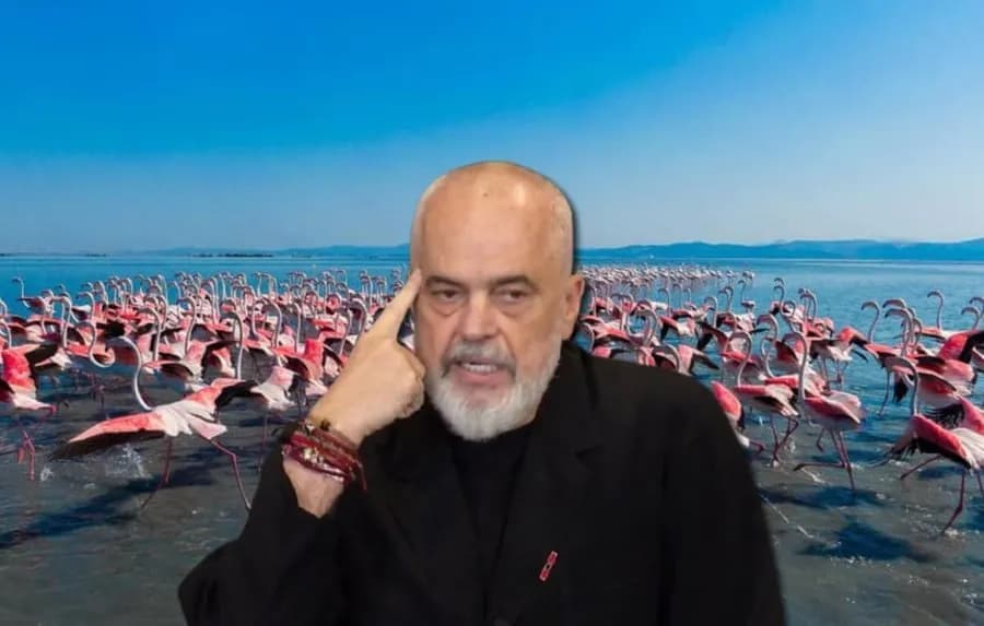 Zvërneci, Rama: Patriotizëm nuk është të refuzosh investimet e huaja